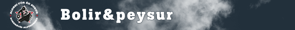 Aldrei fór ég suður